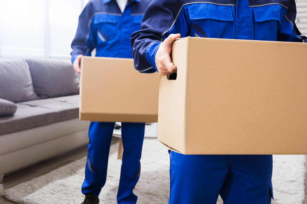 Affordable Movers Osprey